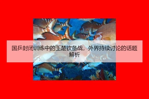 国乒封闭训练中的王楚钦备战，外界持续讨论的话题解析